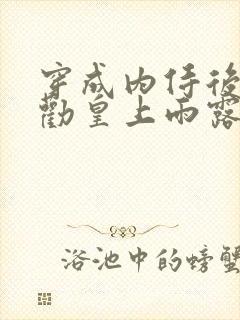 穿成内侍后总在劝皇上雨露均沾