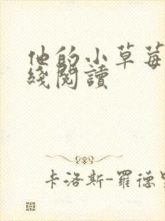 他的小草莓h在线阅读