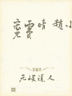 宋雨晴 赵小刚免费