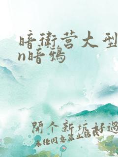 暗卫营大型hpn暗鸦