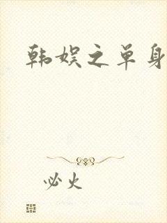 韩娱之单身爸爸