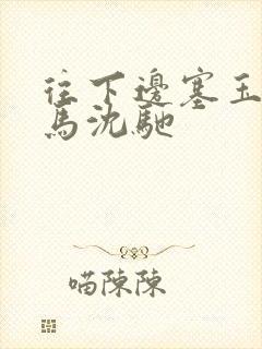 往下边塞玉器骑马沈驰