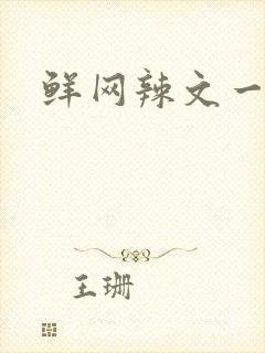 鲜网辣文一对一