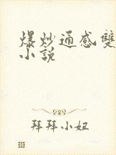 爆炒通感双胞胎小说