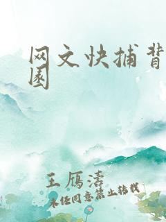 网文快捕背影家园