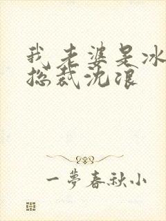 我老婆是冰山女总裁沈浪