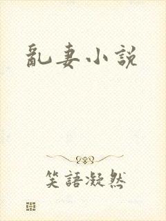 乱妻小说