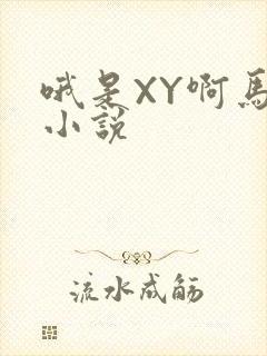 哦是XY啊马仔小说