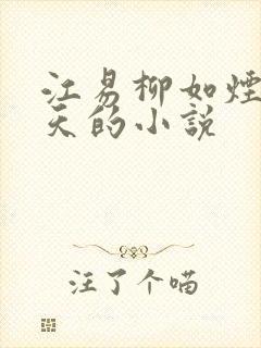 江易柳如烟秦少天的小说