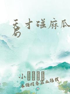 天才碰麻瓜大结局