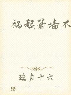 祸起萧墙不知戢