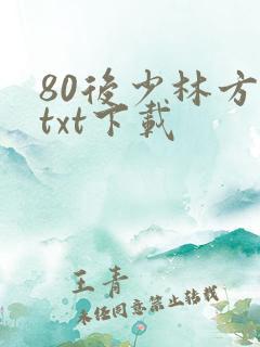 80后少林方丈txt下载