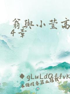 翁与小莹高潮24章