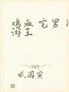 鸡血 宅男 网游王