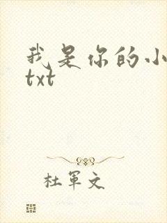 我是你的小小狗txt