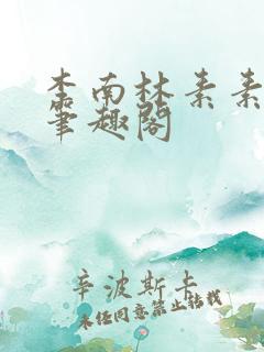 李南林素素小说笔趣阁