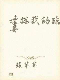 坏总裁的临时娇妻