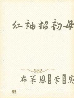 红袖招韵母攻略