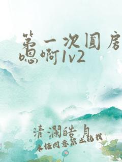 第一次圆房～h嗯啊1v2