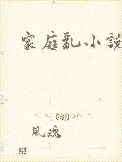 家庭乱小说