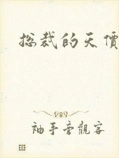 总裁的天价宠妻