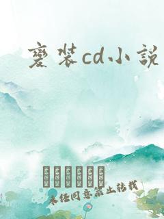 变装cd小说