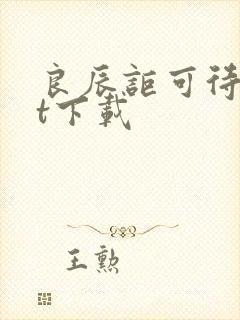 良辰讵可待txt下载