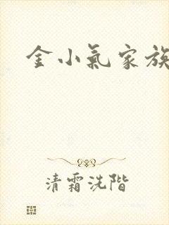 金小气家族小说