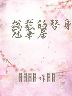 总裁的替身前妻冠华居