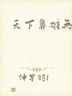 天下枭雄无弹窗