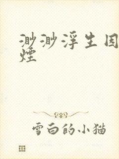 渺渺浮生因你成烟