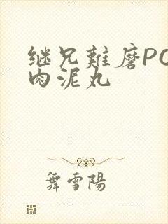 继兄难磨PO猪肉泥丸