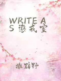 WRITE AS 惩戒室