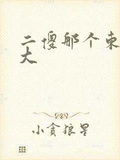 二傻那个东西真大