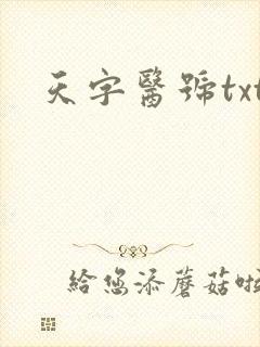 天字医号txt