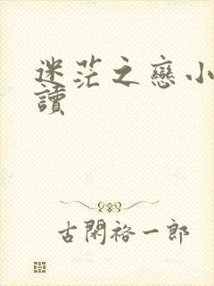 迷茫之恋小说阅读