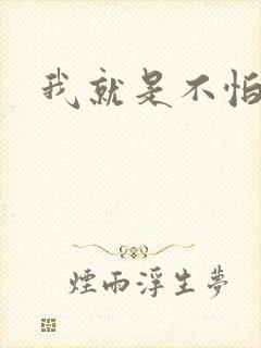 我就是不怕小说