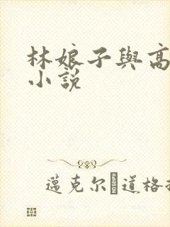 林娘子与高衙内小说