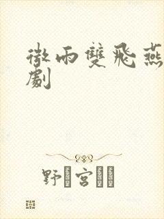 微雨双飞燕电视剧