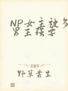 NP女主被多个男主强要
