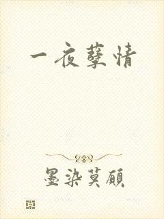 一夜孽情