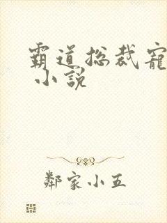 霸道总裁宠上天 小说