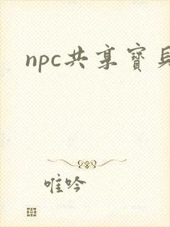 npc共享宝贝