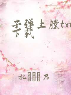 子弹上膛txt下载