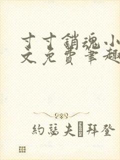 寸寸销魂小说全文免费笔趣阁