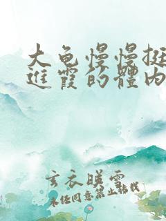 大龟慢慢挺进王进霞的体内