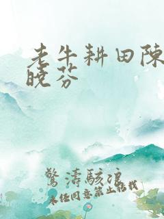 老牛耕田陈雪杨晓芬