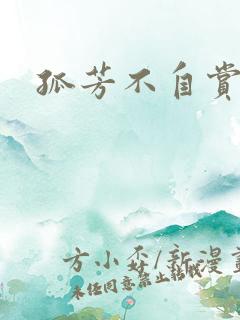 孤芳不自赏小说