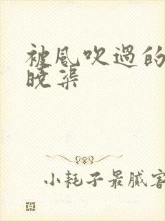 被风吹过的夏天晓渠