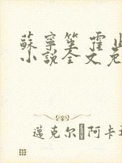 苏宁笙 霍止行小说全文免费阅读